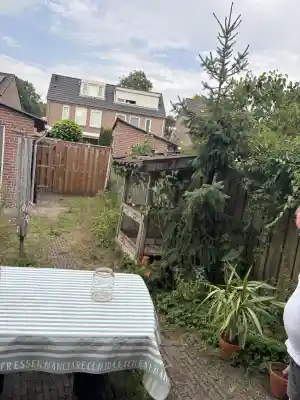 schoonmaakbedrijf_oss_Berry_Cleaning_6.jpg
