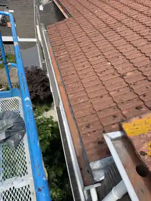 schoonmaakbedrijf_oss_Berry_Cleaning_3.jpg