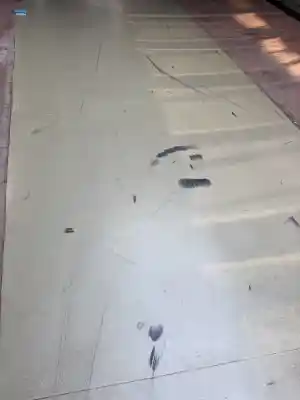 schoonmaakbedrijf_oss_Berry_Cleaning_7.jpg