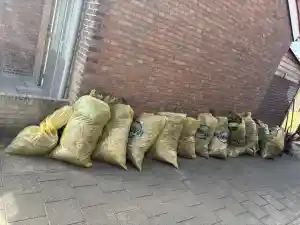 Tuinonderhoud.jpg