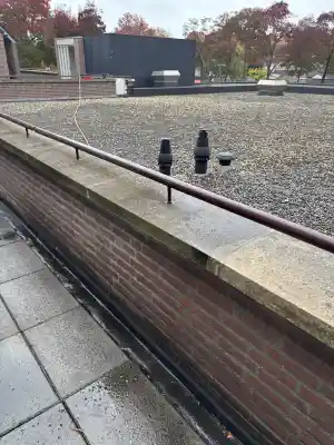 schoonmaakbedrijf_oss_Berry_Cleaning_2.jpg