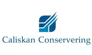 schilder_haarlem_Caliskan_Conservering_2.jpg