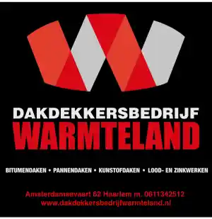 dakgoot_haarlem_Dakdekkersbedrijf_Warmteland_6.jpg
