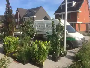 stratenmaker_bodegraven_Frank_van_Buren_Hoveniers_2.jpg