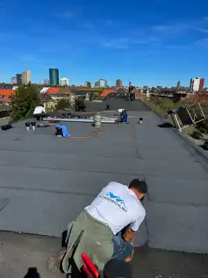 LS Dakspecialist.jpg