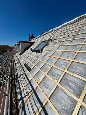 dakgoot_den-bosch_LS_Dakspecialist_5.jpg