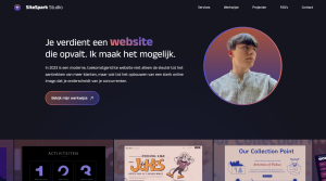 webdesign_leuven_SiteSpark_3.jpg