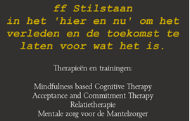 psycholoog_gilze_ff_stilstaan_praktijk_psychosociale_onderst._3.jpg