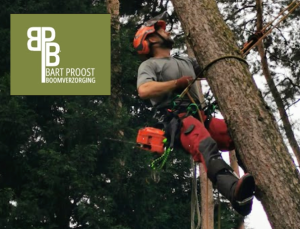 tuinaanleg-en-tuinonderhoud_beerse-vlimmeren_BPBoomverzorging_2.jpg