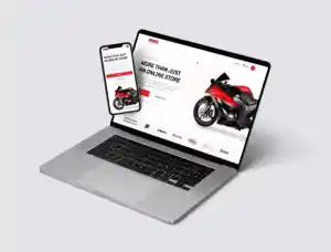 webdesign_ommen_e-Websites.nl_3.jpg