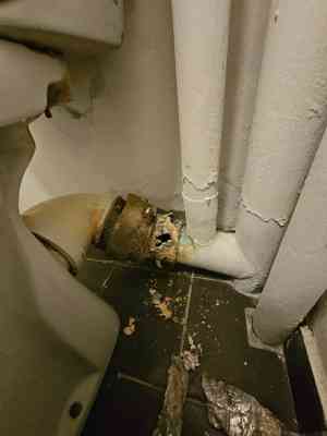 loodgieter_vilvoorde-peutie_Drain_Stop_7.jpg
