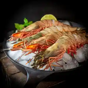 catering_veendam_The_Catering_club__6.jpg