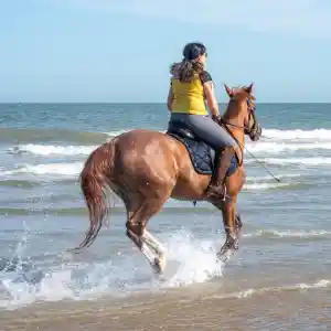 fotograaf_domburg_Domburg_Fotografie.nl_2.jpg
