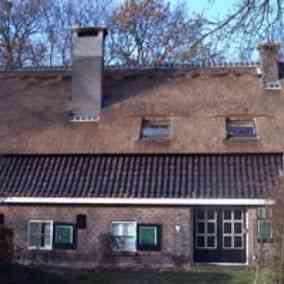 dakdekker_putten_Rietdekkersbedrijf_J._van_den_Hoorn_4.jpg