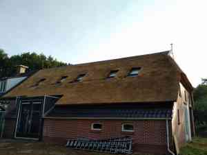 dakdekker_groningen_Rietdekkersbedrijf_Hofkamp_2.jpg