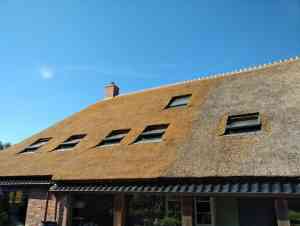 dakdekker_groningen_Rietdekkersbedrijf_Hofkamp_7.jpg