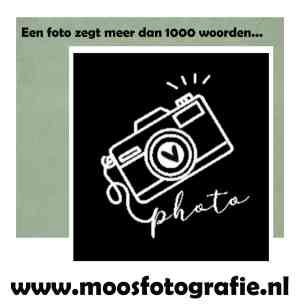 fotograaf_zoetermeer_moosfotografie__3.jpg