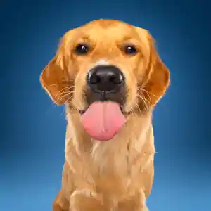 fotograaf_schiedam_Motherpuppers_studio_3.jpg