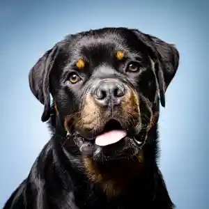 trouwfotograaf_groningen_Fotostudio_Groningen_3.jpg