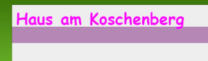 fahrschule_schipkau-h%C3%B6rlitz_Haus_am_Koschenberg_2.jpg