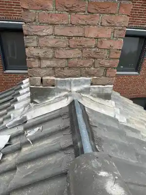 schoorsteenveger_den-bosch_Watermans_vastgoed_renovatie_en_onderhoud_4.jpg