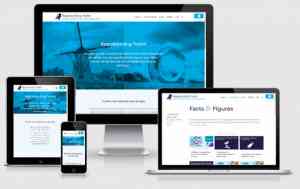 grafisch-ontwerper_den-haag_CA-editors_Webdesign_7.jpg