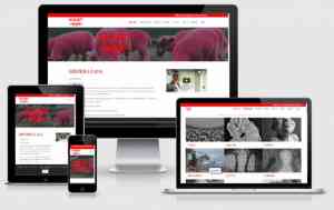 grafisch-ontwerper_den-haag_CA-editors_Webdesign_6.jpg