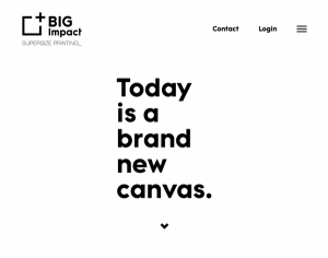 webdesign_gorinchem_DailyCMS_-_Technisch_internetbureau_3.jpg