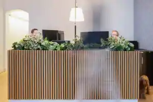 webdesign_maastricht_DiD_Online_3.jpg
