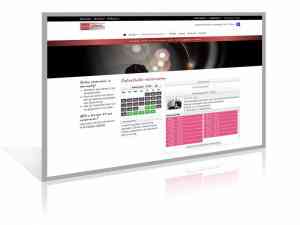 online-marketing_nijkerk_Digiplek_Webdesign_6.jpg