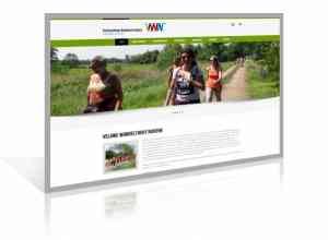 online-marketing_nijkerk_Digiplek_Webdesign_2.jpg