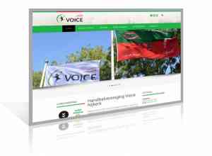 online-marketing_nijkerk_Digiplek_Webdesign_4.jpg