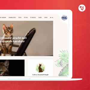 online-marketing_rijen_FireMultimedia_3.jpg