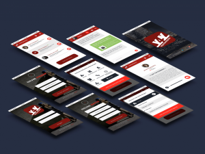 webdesign_veghel_LanthopusX_2.jpg