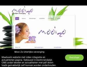 webdesign_valkenswaard_Maaswebsites_2.jpg