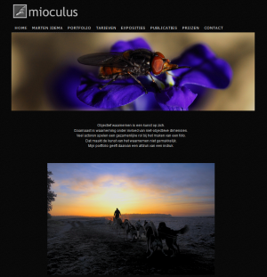 webdesign_groningen_Meijerink_WebDesign_4.jpg