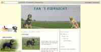 webdesign_groningen_Meijerink_WebDesign_2.jpg
