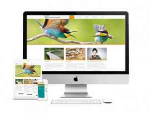 seo-specialist_huissen_OVK_webdesign_2.jpg