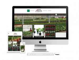 seo-specialist_huissen_OVK_webdesign_3.jpg
