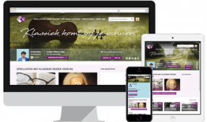 webdesign_bussum_Perfect_Web_Team_4.jpg