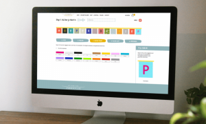 grafisch-ontwerper_zwolle_Proven_Web_Concepts_B.V._4.jpg