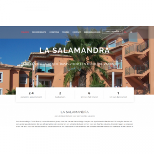 webdesign_uden_Qoncept_Webdesign_5.jpg