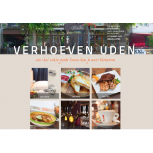 webdesign_uden_Qoncept_Webdesign_4.jpg