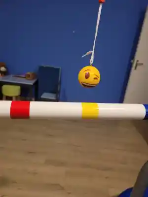 coaching_veendam_Coaching_Praktijk_Sense_3.jpg