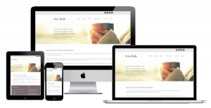 online-marketing_valkenburg_Sitescoach_WordPress_Websites_-_Webdesign_Limburg_2.jpg