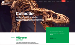 grafisch-ontwerper_leiden_SWIS_Full_Service_Internet_Bureau_2.jpg