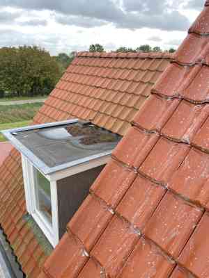 Dak reinigen doormiddel van softwash techniek.jpg