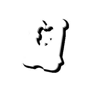 Schutte website.jpg