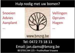 tuinaanleg-en-tuinonderhoud_beveren-vrasene_BMZRG_4.jpg