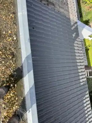 dakgoot_den-bosch_Dakspecialist_Van_Bergen_7.jpg
